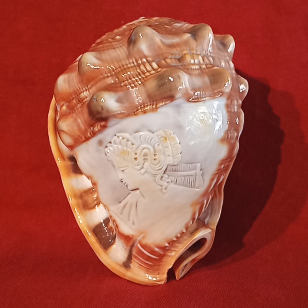 Carved Conch Shell Victorian Woman.